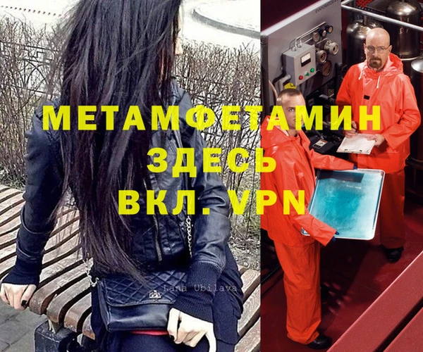 сатива Аркадак