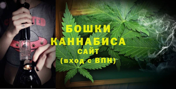 сатива Аркадак