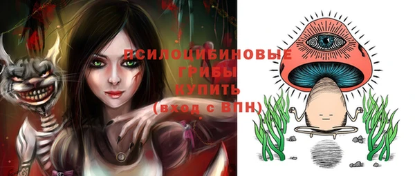 сатива Аркадак